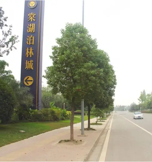 泊林城